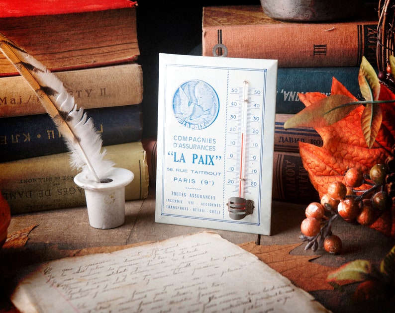 Antique Thermometer Celsius Scale Ornate Thermometer Vintage Home Decor French Vintage Thermometer