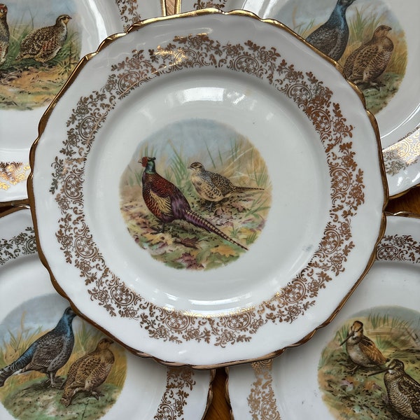 Ensemble de 5 assiettes oiseaux porcelaine de Limoges France vintage, lot de 5