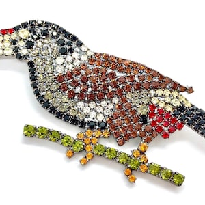 Toucan Bird Brooch - Rhinestone Brooch / von Walhof