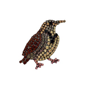Western Meadowlark Brooch - Songbird Pin / Bird Jewelry
