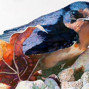 Barn Swallow sitting among rocks and leaves, 5.5”x 16.75” (image size) giclée print. Bird Art/Birds/Barn Swallow/Nature Art/Wildlife Art