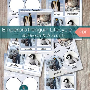 Ciclo de vida del pingüino Montessori Actividad imprimible para niños, 7 páginas Ciclo de vida del pingüino emperador, Tarjetas de 3 partes Actividad de aprendizaje Habilidad de tijera