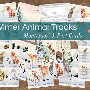 Hiver forestier préscolaire Montessori aquarelle empreintes d'animaux de la forêt Cartes en 3 parties Activité d'association culturelle | Poster empreintes artistiques en prime