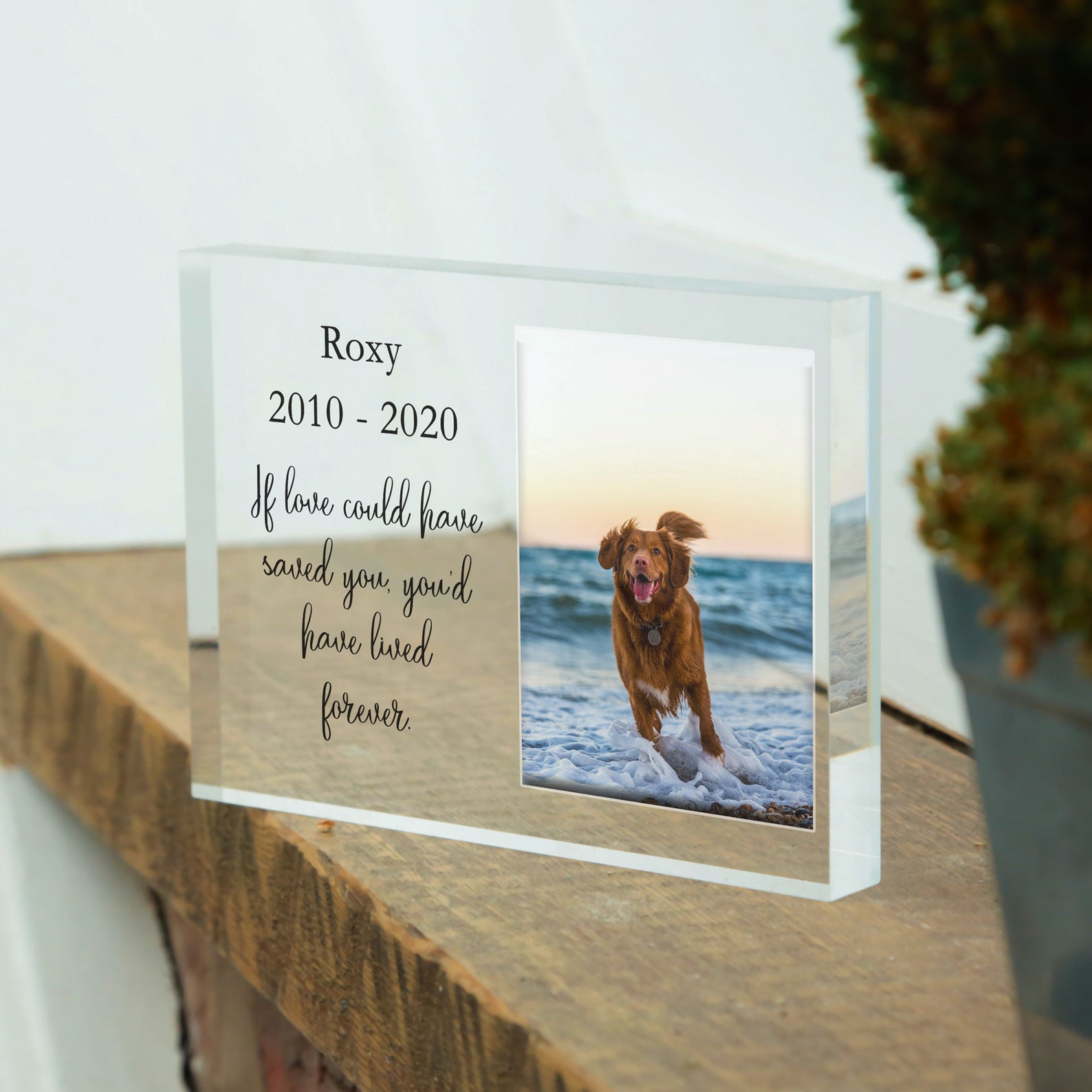 Hund Erinnerung Geschenk Hund Memorial Bilderrahmen Hund Etsy