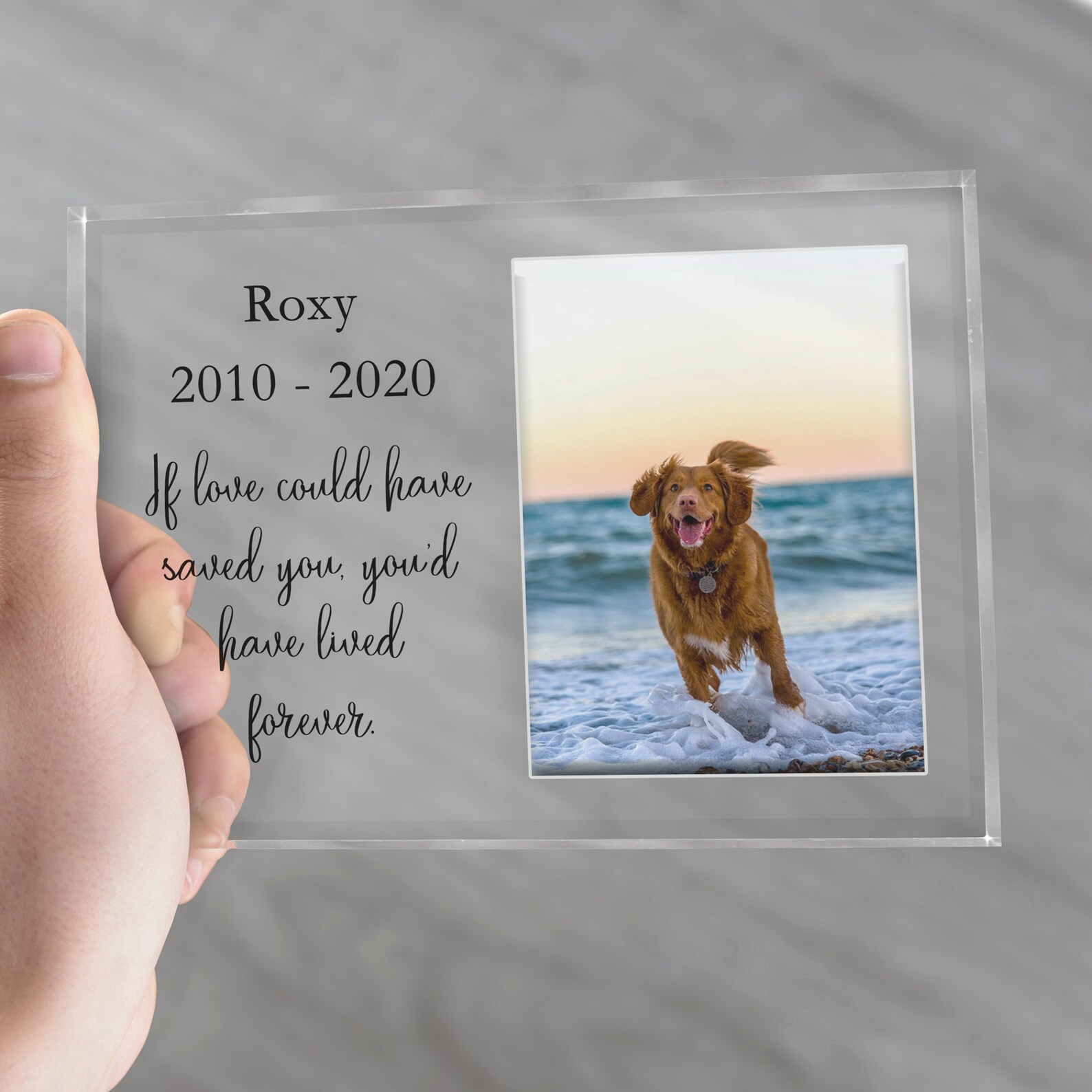 bilderrahmen hund