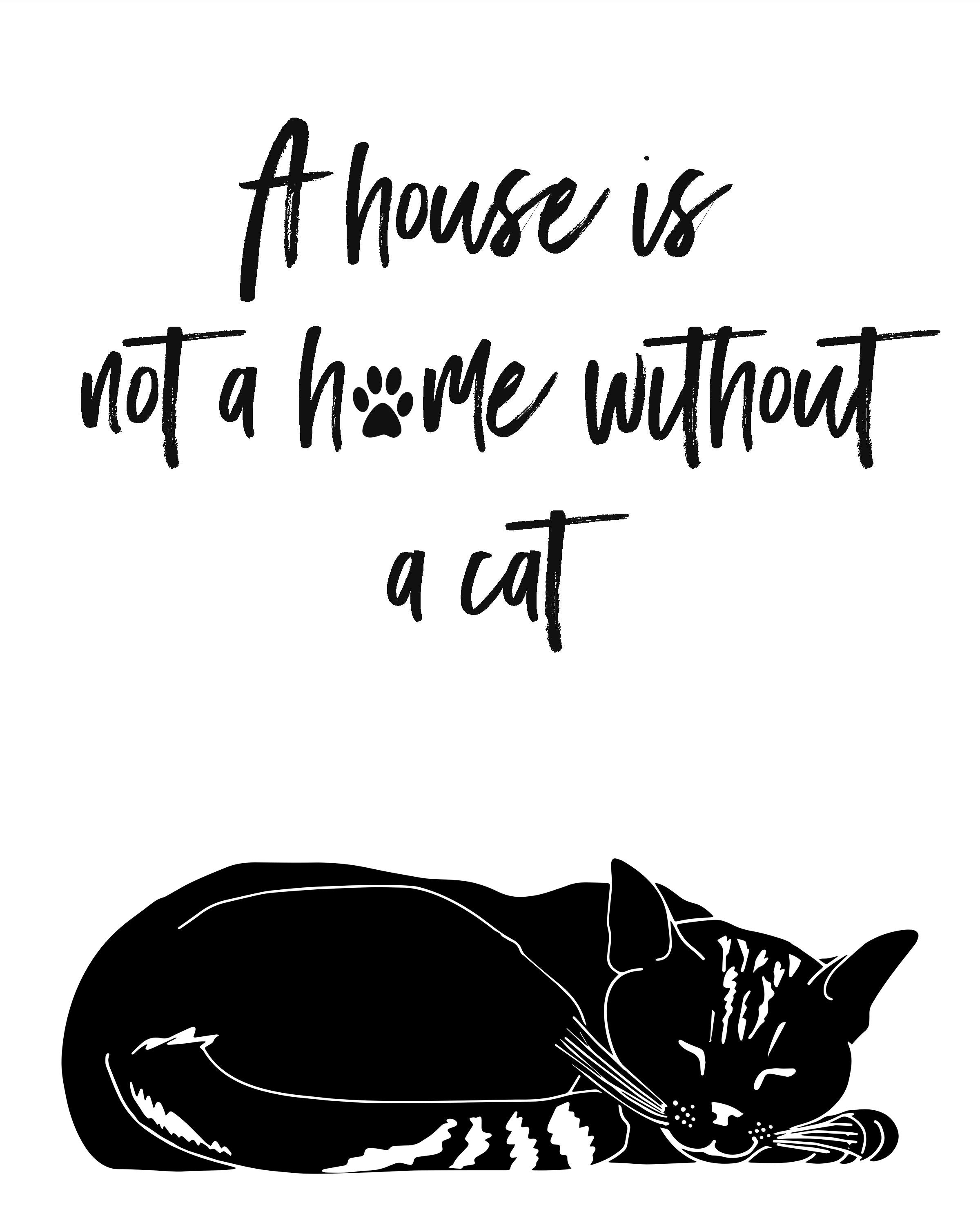 List 26+ Photos a house is not a home without a cat Excellent List 26+ Photos a house is not a home without a cat Excellent