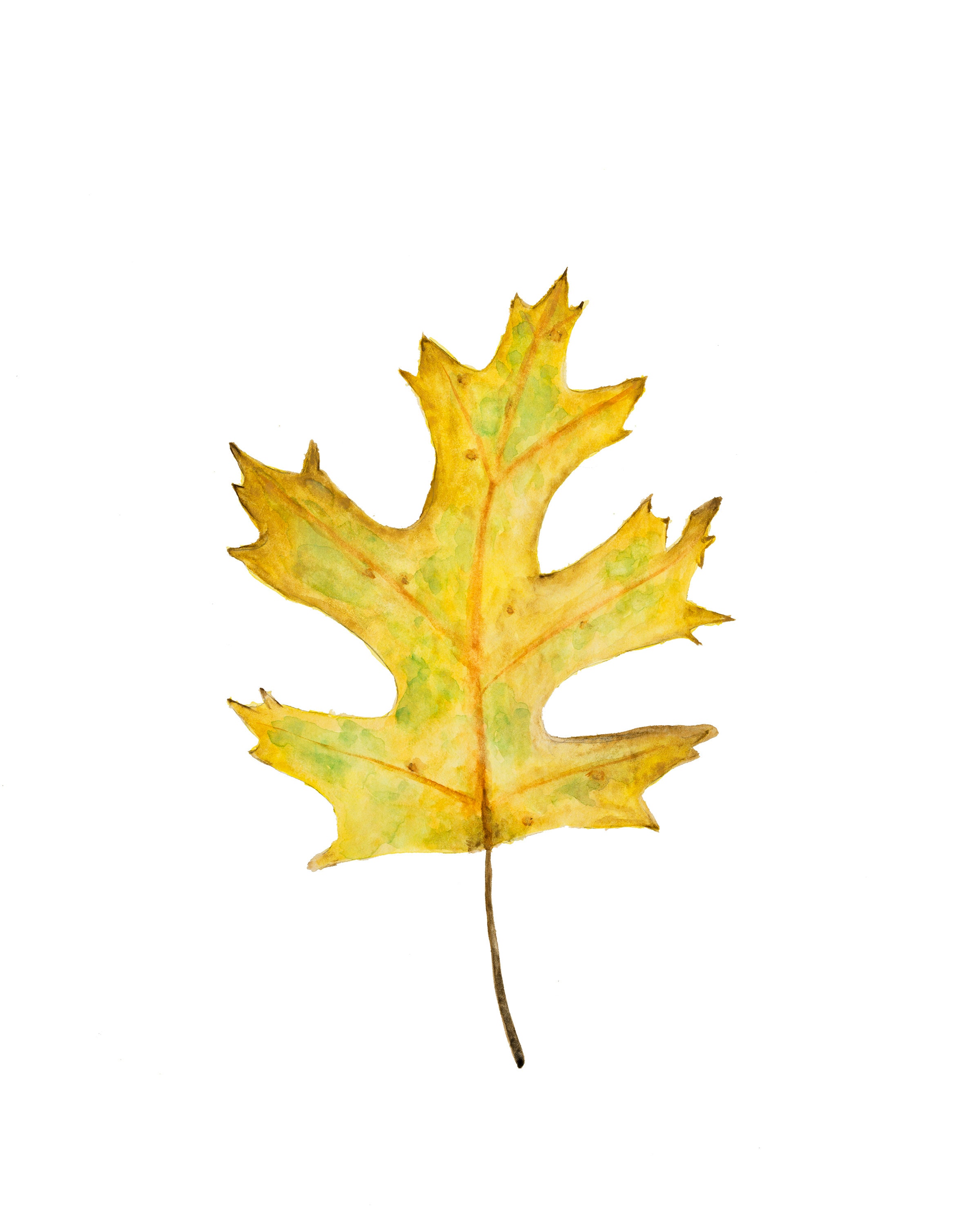 fall-leaf-printables-sample-template