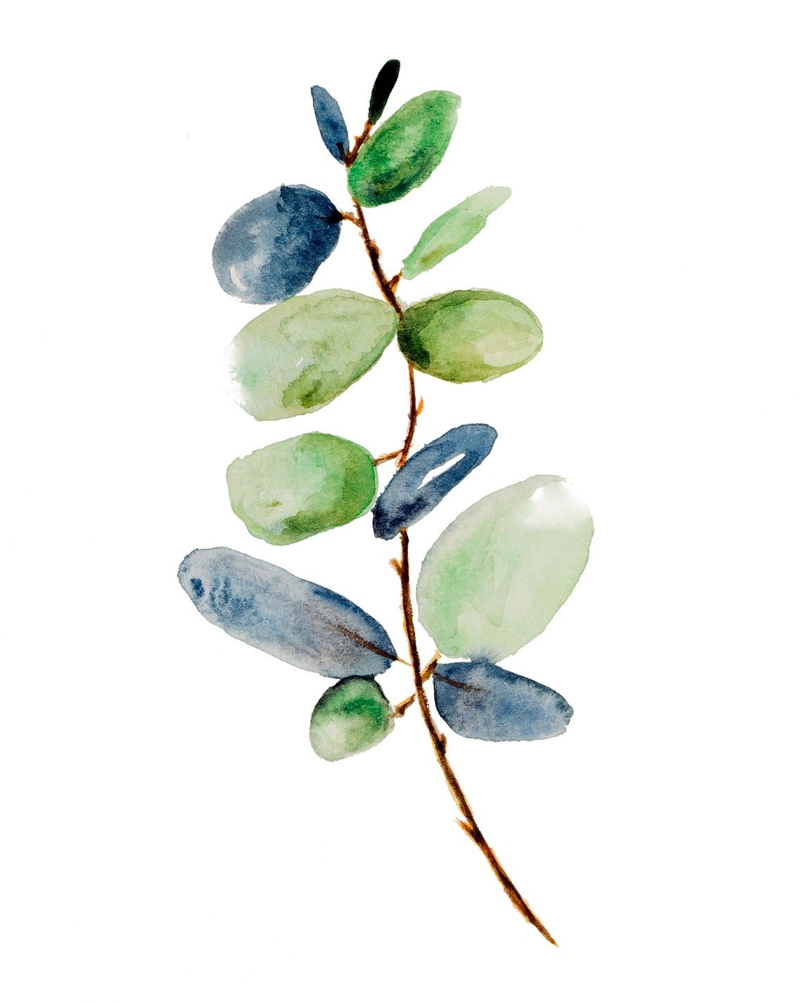 4 Eucalyptus Prints Set of 4 Watercolor Botanical Prints Etsy