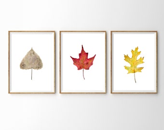 11x14 Autumn Leaves Print Set of Three, Printable Fall Leaf Prints, Leaves Wall Art Printable, 3 Piece Wall Art, Thanksgiving Decor