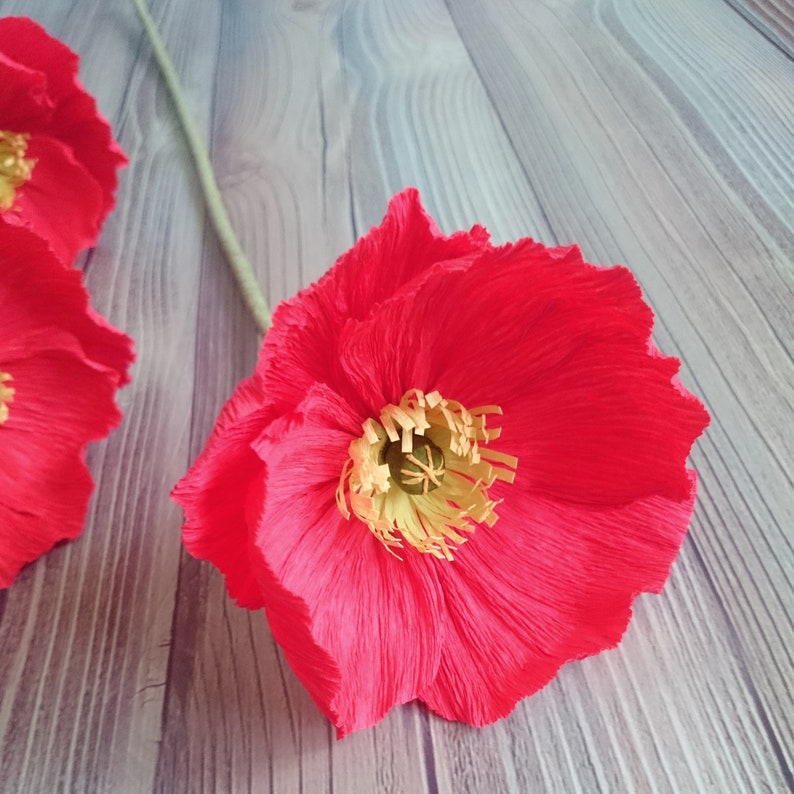Red Paper Poppies Set Fake Crepe Paper Flowers Poppy Etsy