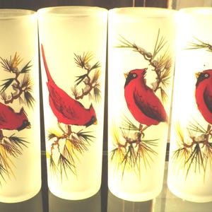 Gay Fad Cardinals Collins Glasses Set of Four 1950s Frosted and Hand Painted Vintage Barware Set