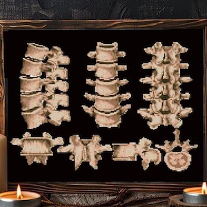 Puede incluir: Una impresión enmarcada que presenta una detallada representación de la columna vertebral humana en beige sobre un fondo negro. La obra de arte se exhibe sobre una mesa de madera, iluminada por varias velas encendidas, creando un ambiente cálido. Tema: arte anatómico.