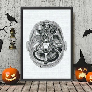 Black and white anatomy of the skull, the brain from inside, the structure of the skull, brain, medical science, Anatomical embroidery, 19