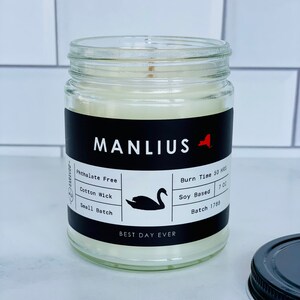 Manlius Candle | Soy Coconut Blend | Hand Poured | Small Batch |