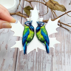 Puede incluir: Un par de pendientes colgantes de plata con un diseño de pájaro azul y verde. Los pájaros están representados con plumas detalladas y se colocan sobre un fondo blanco.