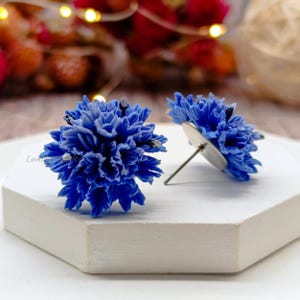 Peut inclure: Une paire de boucles d'oreilles à clous en forme de fleurs bleues. Chaque boucle d'oreille présente un design texturé et détaillé ressemblant à une fleur en pleine floraison. Les boucles d'oreilles sont montées sur des tiges argentées.