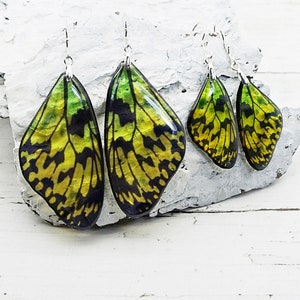 Yellow Butterfly Earrings Resin Butterflies Wings Jewelry