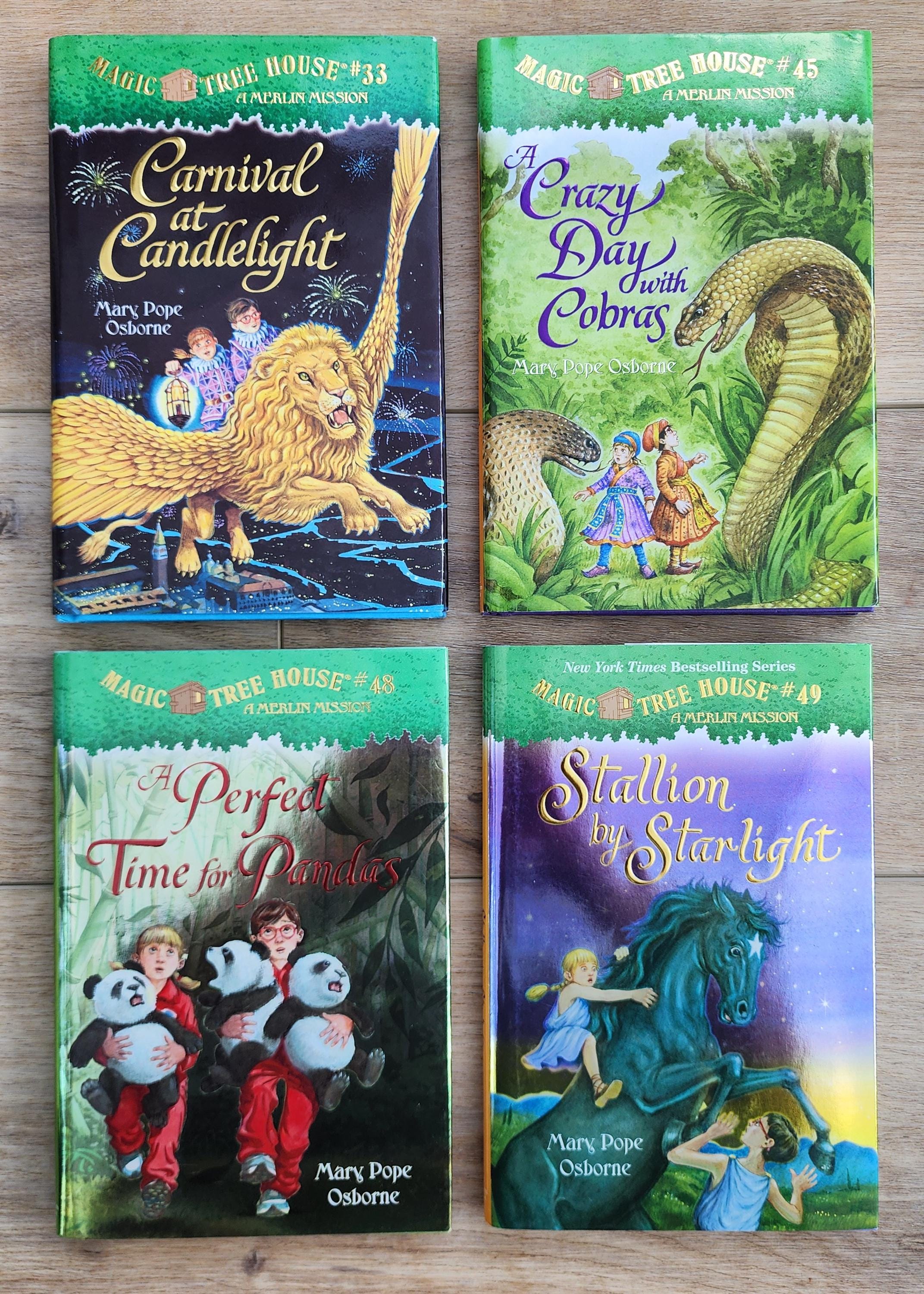 Magic Treehouse Hardback Books - Etsy
