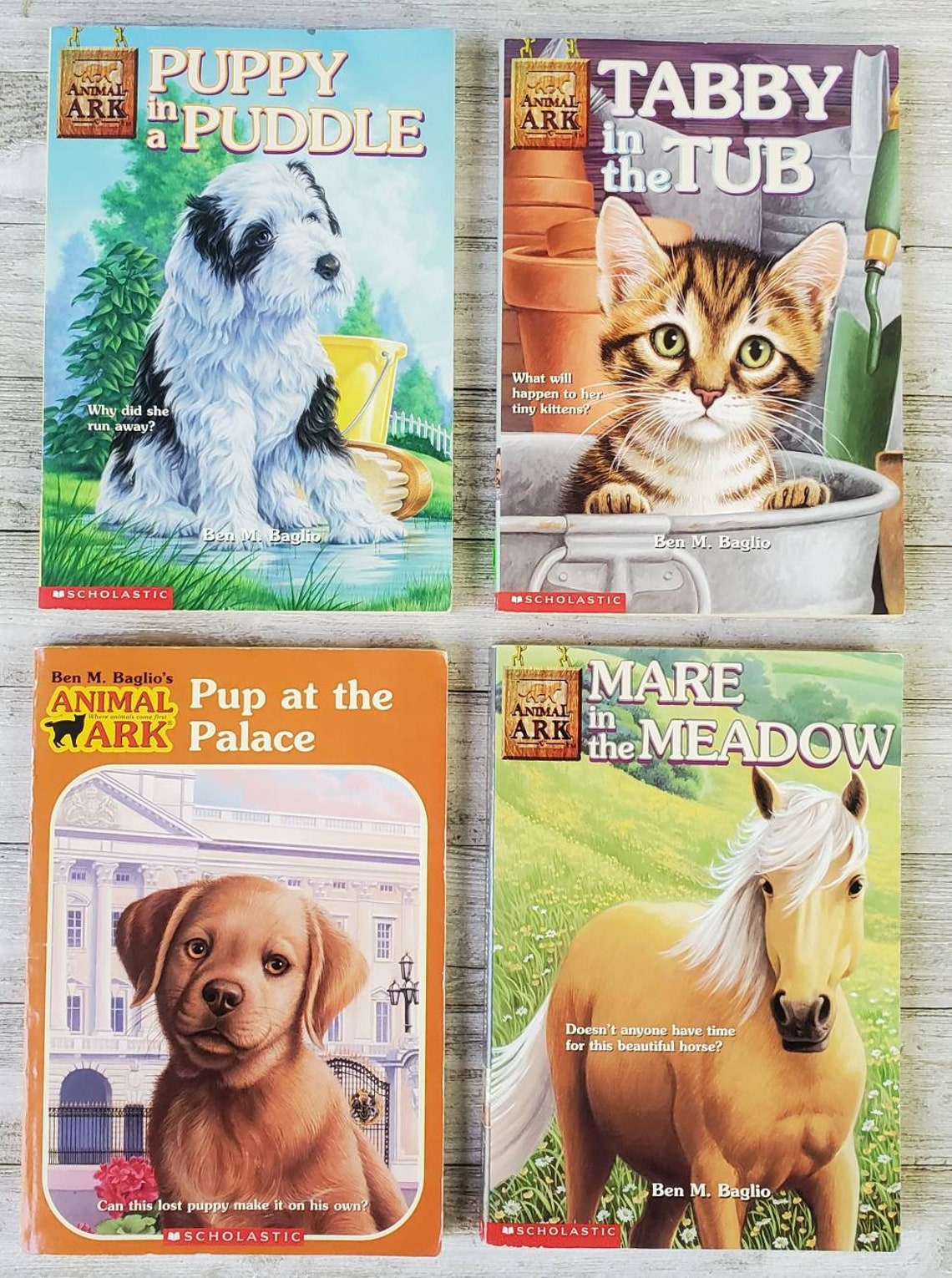 Animal Ark Books Choose One Under Construction Etsy