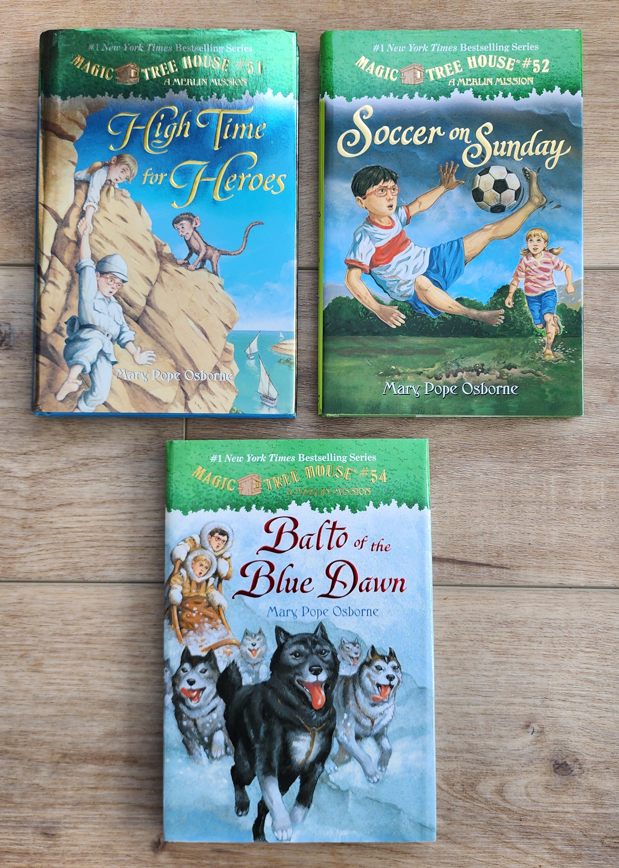 Magic Treehouse Hardback Books - Etsy