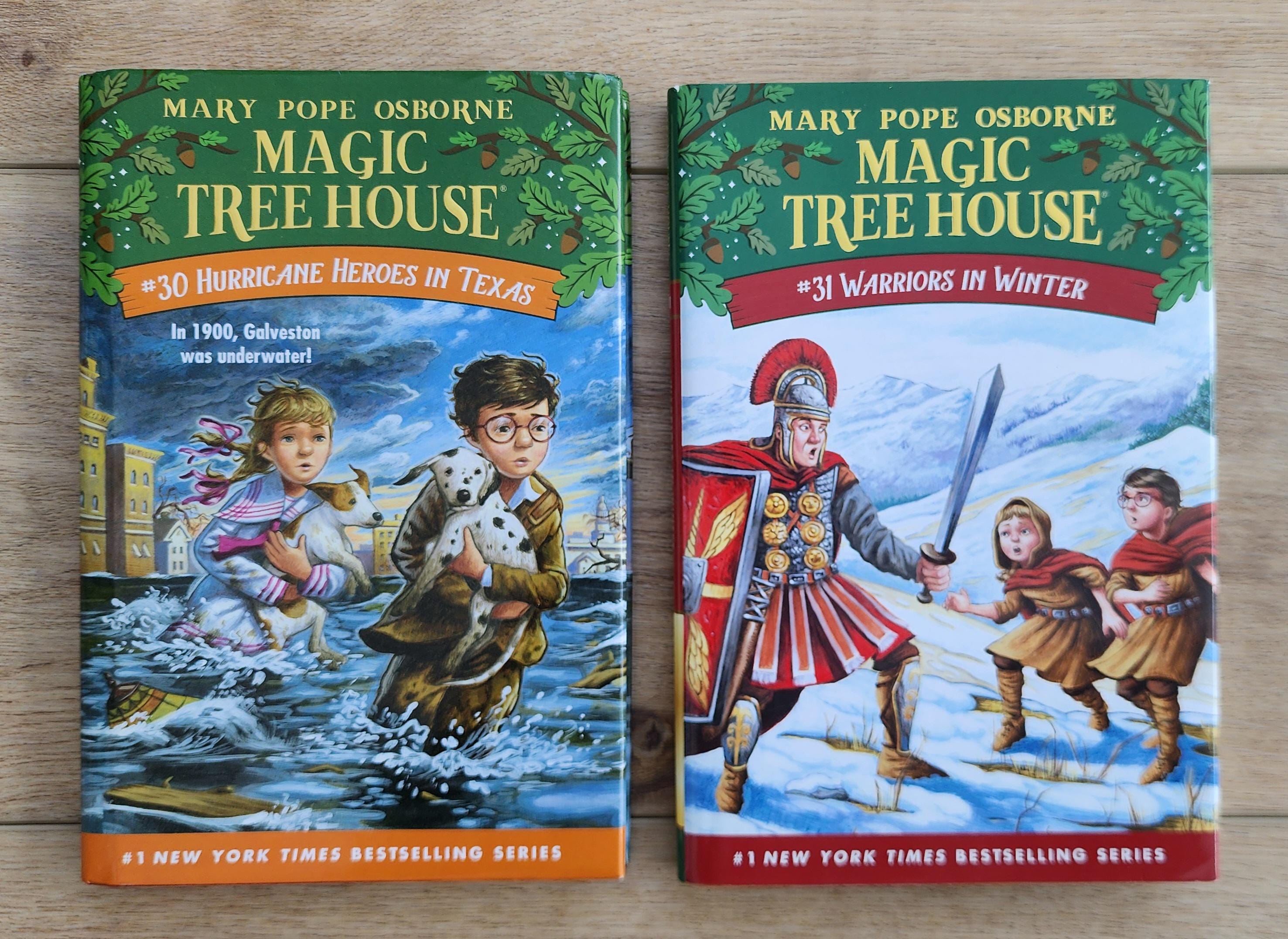 Magic Treehouse Hardback Books - Etsy