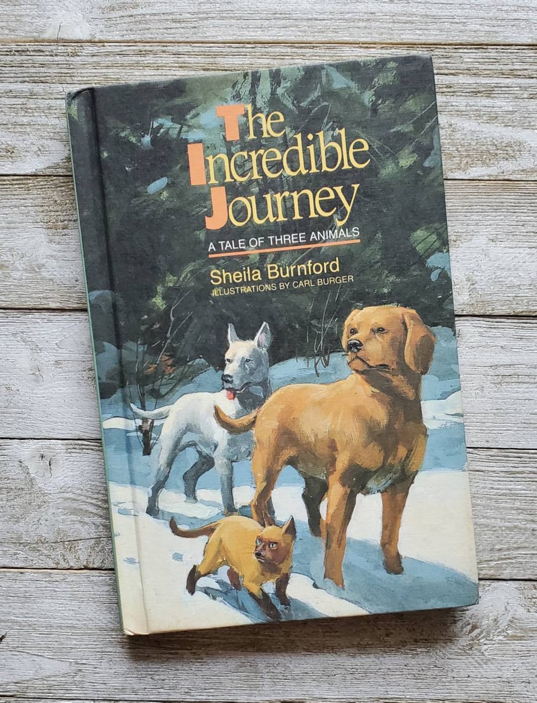 The Incredible Journey Weekly Reader Books 1961 Sheila Etsy