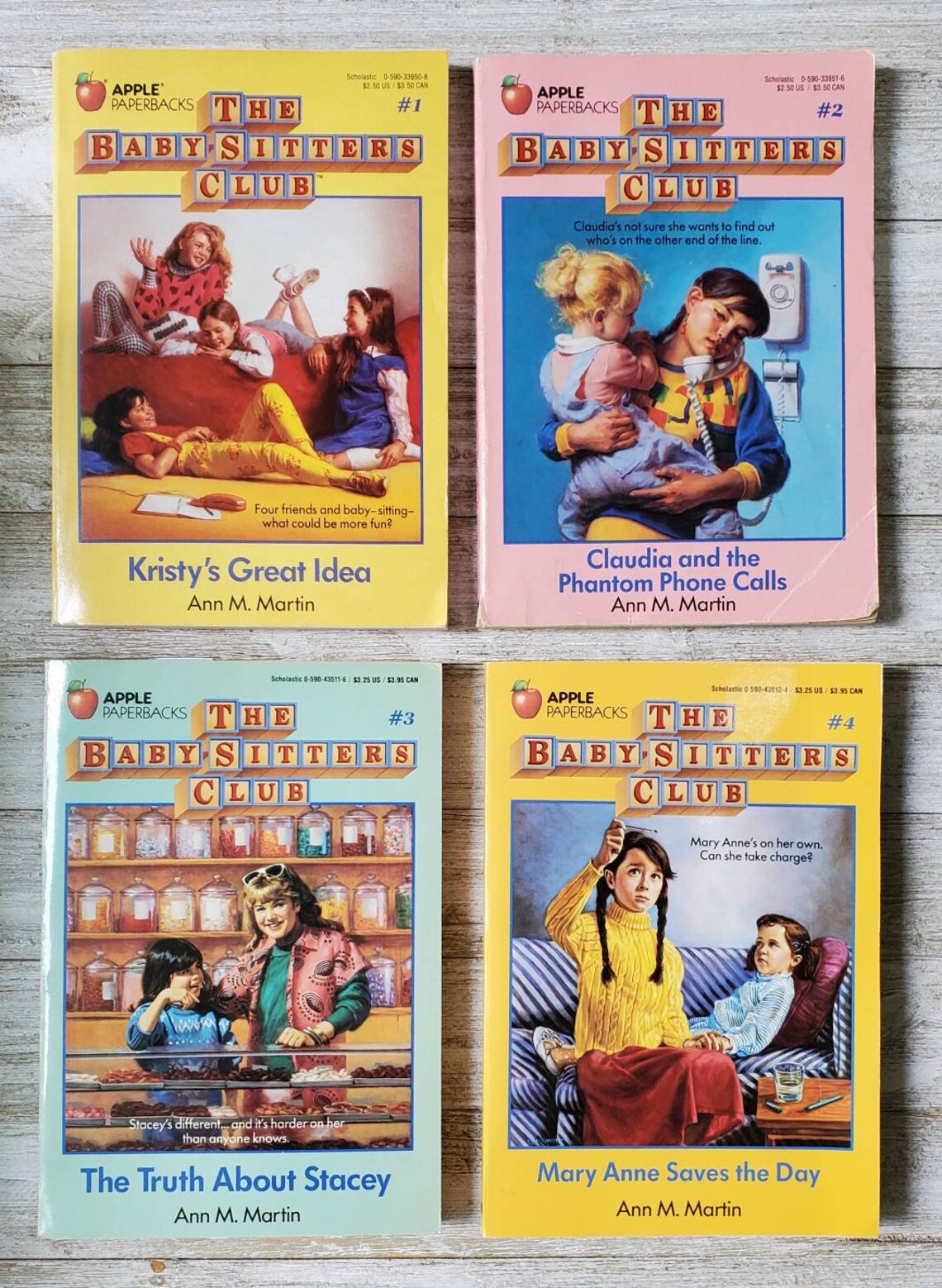 the babysitter book the babysitter book