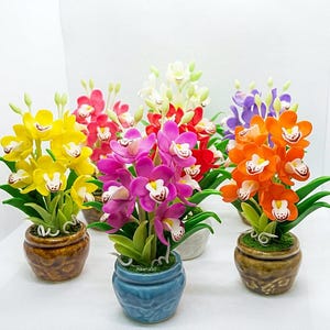May include: A collection of five miniature potted orchid plants in vibrant colors including yellow, pink, purple, orange, and red. Each plant features detailed petals with white and maroon centers, green leaves, and small buds, set in small ceramic pots.