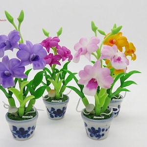 May include: Miniature orchid plants in blue and white pots. The flowers are in shades of purple, pink, and yellow, with green leaves. Each plant is approximately 4 inches (10 cm) tall.