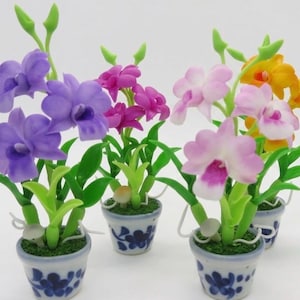 May include: Four miniature potted orchid plants featuring vibrant purple, magenta, light pink, and yellow blossoms. Each plant has green leaves and stems, set in small white ceramic pots decorated with blue floral patterns and green moss.
