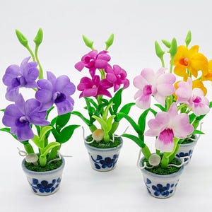 May include: Four miniature potted orchid plants featuring purple, magenta, light pink, and yellow blossoms. Each plant is set in a small white ceramic pot decorated with blue floral patterns and green faux moss at the base.