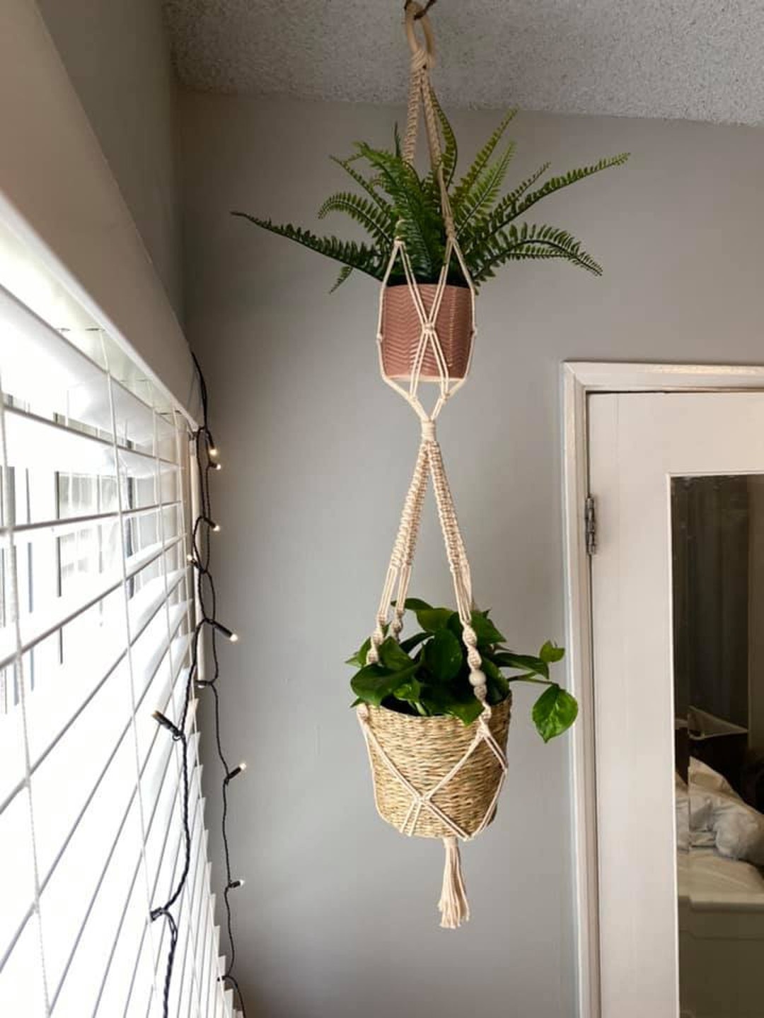 lucky bamboo plant pots Buy 5 Layer Lucky Bamboo Plant in a Bowl with Pebbles online from  Nurserylive at lowest price main image 0