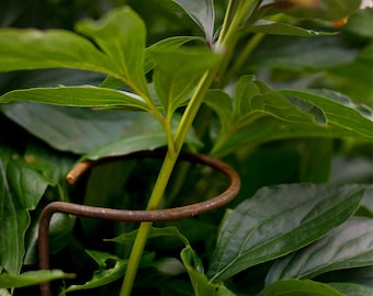 Paquete de 10 soportes para flores, 1 metro de largo, soportes extra largos para plantas perennes, soportes para dalias, soportes para plantas perennes, accesorios de jardín, tutores de jardín, Día de la Madre, semillas de flores