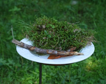 Juego de 2 bebederos para pájaros, soportes para bebederos, recolectores de agua, baños para insectos, estacas de jardín, soportes para cuencos de agua, baños para abejas, comederos