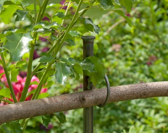 Augenstab 1,5 Meter, Staudenhalter,Zaun,Beetbegrenzer,Gartendeko,Komposthaufenbegrenzer,Garten,Komposter,Sichtschutz,Rankgerüst,Stauden.