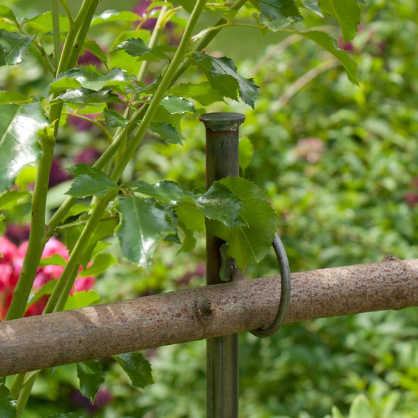 Bâton à œil 1,5 mètres, support de plantes vivaces, clôture, limiteur de massif, décoration de jardin, limiteur de tas de compost, jardin, composteur, brise-vue, treillis, plantes vivaces.