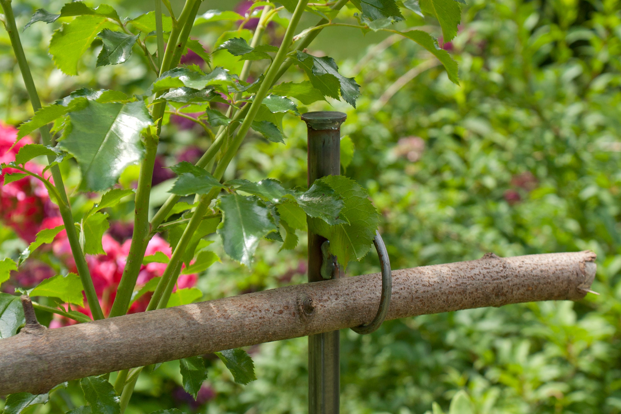 Crochet de Berger Extérieur - Lot de 2 Crochets pour Plantes de Jardin  Support Mangeoire Oiseaux Extérieur