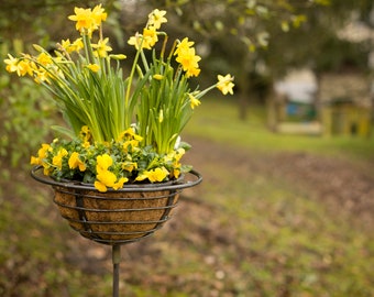 Plant bowl on stick, planter on stick, garden stake, flower bulb container, herb pot, potted garden, plant basket, plant basket on stick, DIY