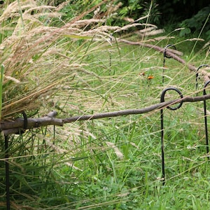 Könnte beinhalten: Nahaufnahme eines Metall-Gartenspalieres aus dünnen, gebogenen Stäben. Das Spalier ist teilweise von hohem, grünem Gras und braunen Ästen verdeckt.
