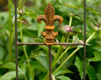 Petit treillis "Lily", espalier, treillis, aide à l'escalade, jardin, cadeau jardinier, fête des mères, fer, rouille, jardin en pot, terrasse, balcon, treillis,