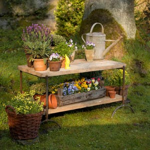 May include: A rustic wooden garden cart with metal wheels, holding potted plants and a watering can. The cart is on a grassy lawn with a large tree in the background.