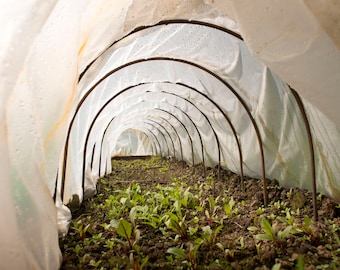 Arcos de túnel 64 x 80 cm, invernadero, caseta de jardín, marco frío, verduras, hierbas, hortalizas, ensalada, semillas de flores, vivero, estructura de palets, cultivo