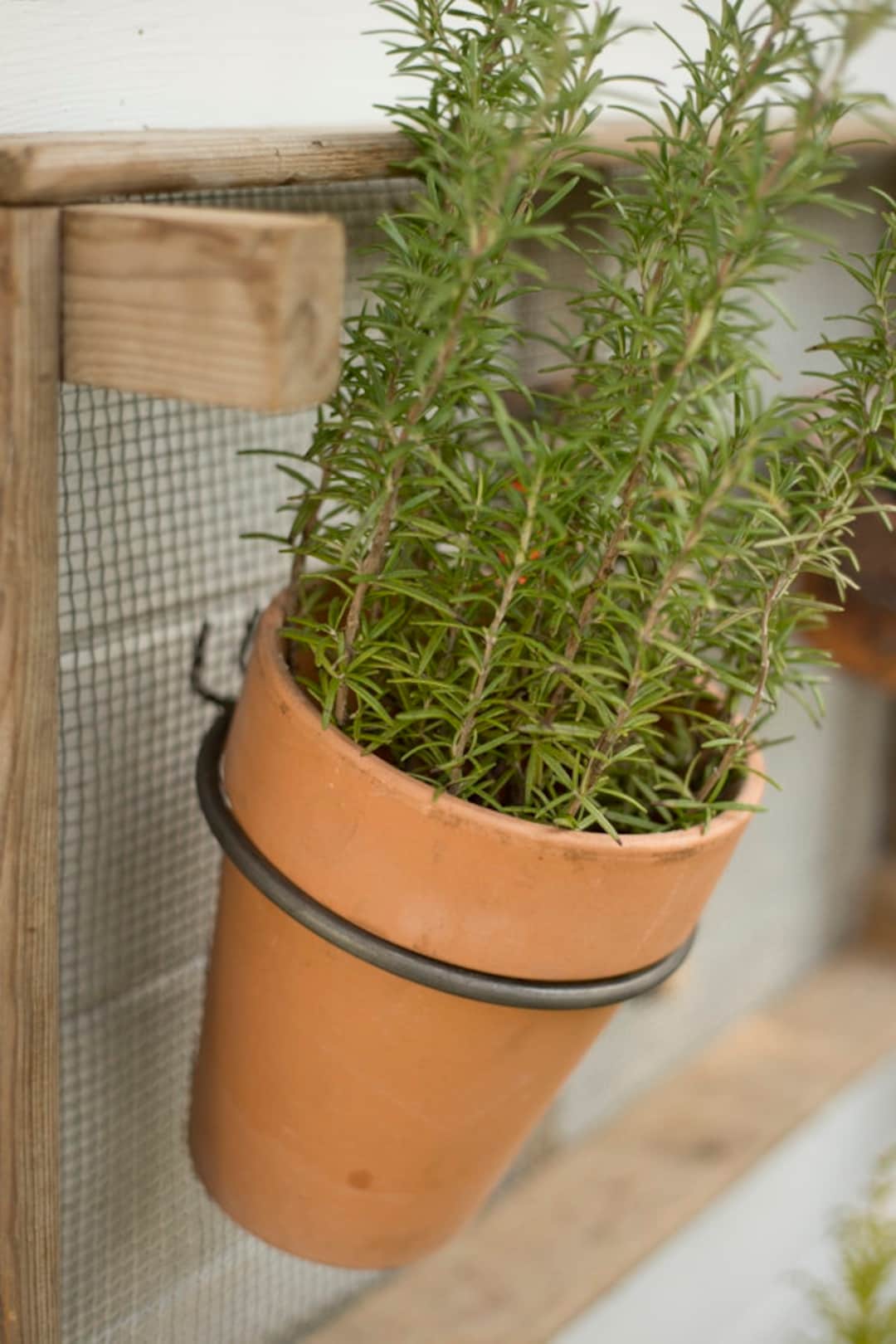 TAODAN Blumentopf-Halterring Aus Metall – Faltbar, 15,2 Cm, Für Wandmontage Innen & Außen