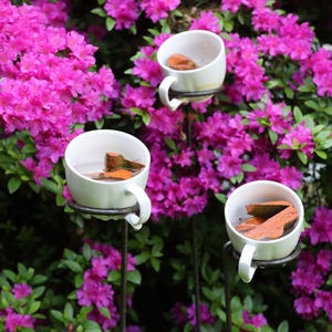 Könnte beinhalten: Drei weiße Teetassen mit Henkeln, die jeweils Holzstücke enthalten, sind auf Metallständern montiert. Die Tassen stehen vor einem Hintergrund aus leuchtend rosa Azaleenblüten und grünem Laub, wodurch eine natürliche Szene im Freien entsteht.