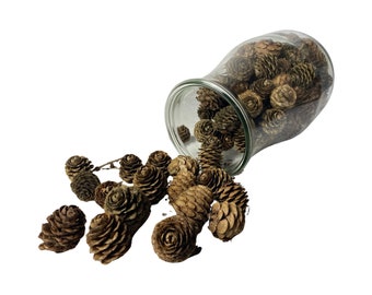 300 grams of larch cones, scatter decoration for table decoration, cones for crafts, children's crafts, Christmas crafts, crafts with children