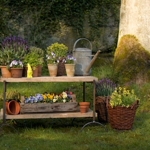 Flower bench, flower stairs, plant shelf, garden shelf, balcony shelf, raised bed, shelf for flower pots, balcony shelf, shoe rack, sideboard,