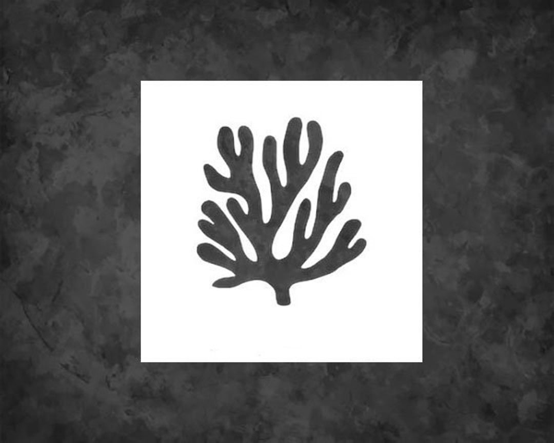 Seaweed Stencil Reusable Mylar Stencil Art Template | FAST SHIPPING - Etsy