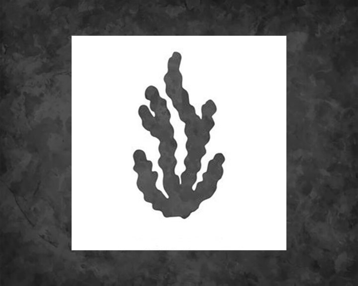 Seaweed Stencil Reusable Mylar Stencil Art Template FAST SHIPPING - Etsy