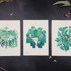Hanging Plants - 5" x 7" risograph print set/ individuals: ferns & succulents printed in Steel, Mint, and Lime Green
