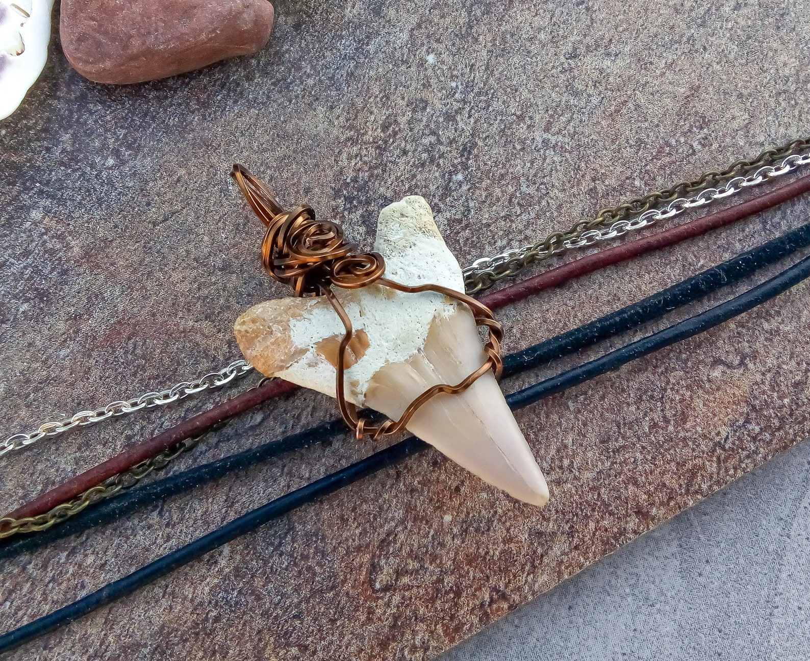 Shark Tooth Wire Wrapped Pendant/Choose Your | Etsy